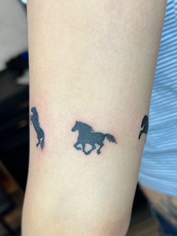 tattoo,aces,high,alex,rockoff,alexrockoff,west,palm,beach,traditional,neotraditional,beetle,beatle,flower,sunflower,floral,color